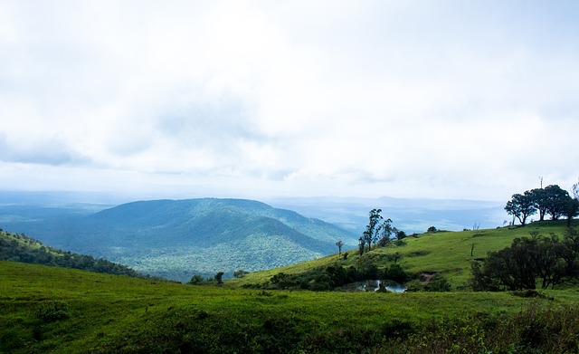队报周末最佳法国阵：救世主阿雷，核心科内，独造五球奥利塞