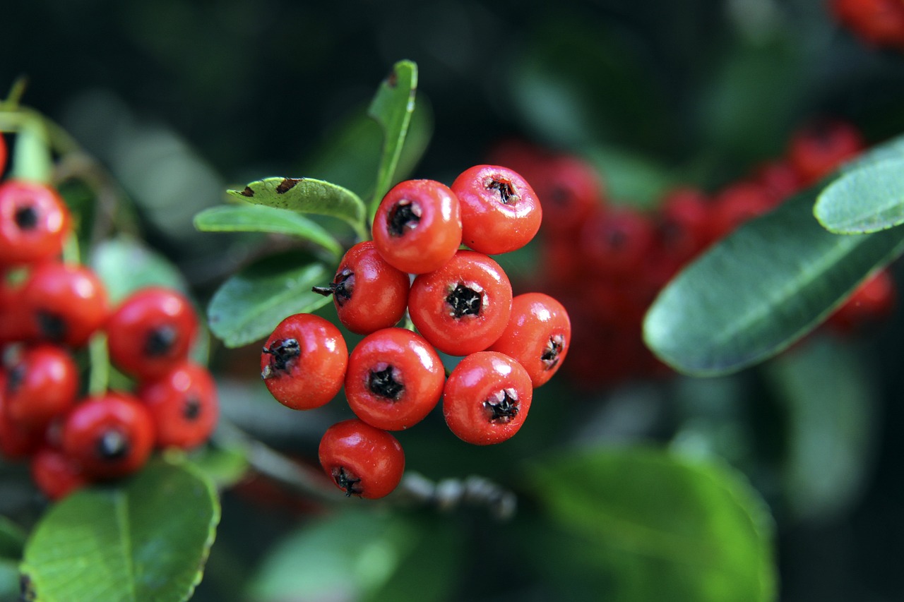 德岛漩涡vs长崎成功丸首发：巴塞洛斯、安普森先发