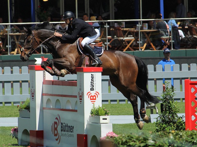 名记：字母哥与队友召开会议，呼吁全队无视外界杂音