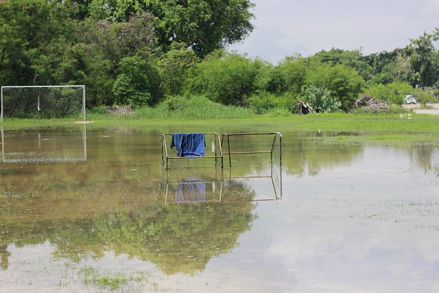 克拉默评多特：虽从拥有三名世界级球员到零，但球队没有垮掉