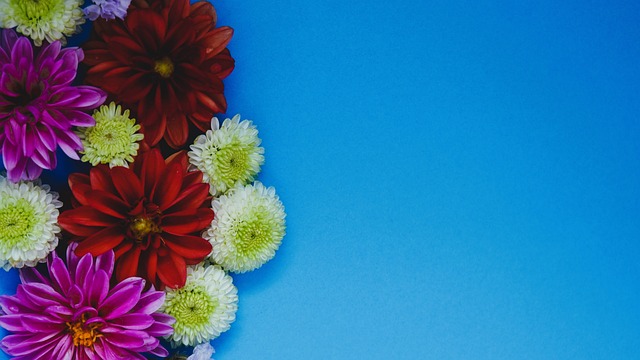 曼联主帅谈球队战术与未来