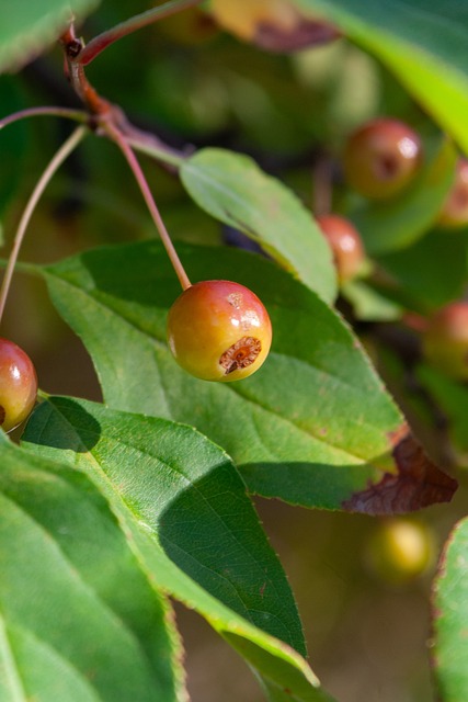 它承载的是 它承载的是
