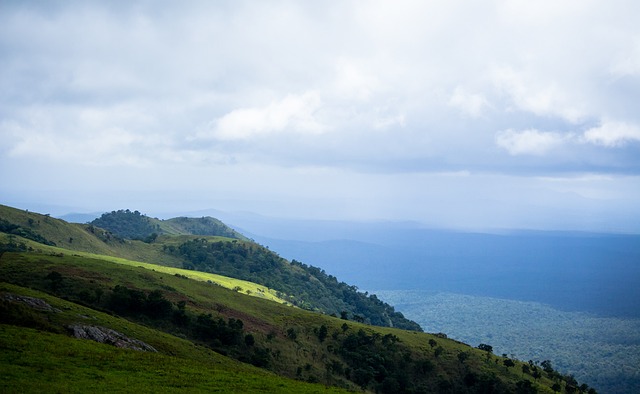 透明政策 透明政策