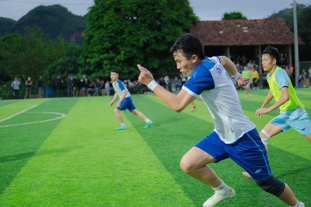却缺乏本土 却缺乏本土