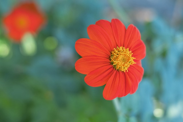 两支球队的 两支球队的