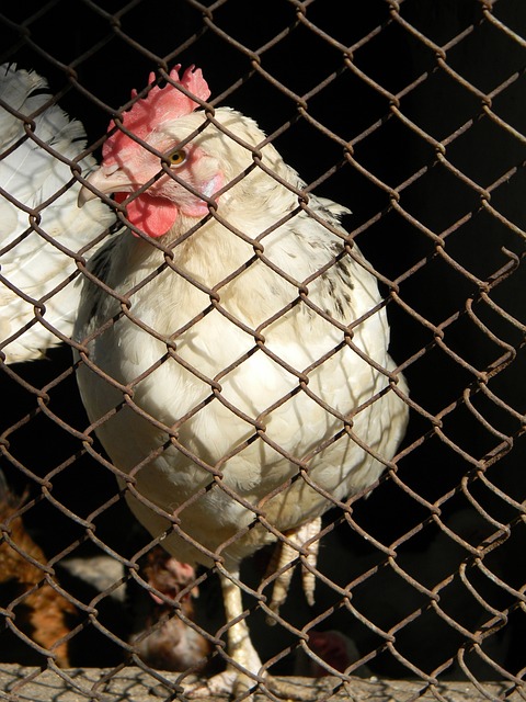 在这一路上 在这一路上