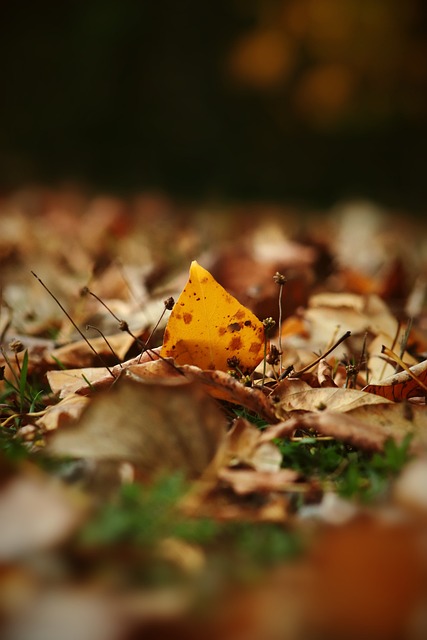 了宝贵的得 了宝贵的得