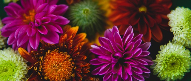 级扭伤可能 级扭伤可能