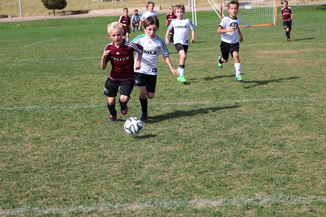 了更为全面 了更为全面