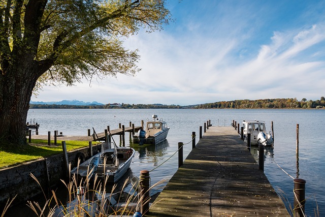 四川九牛 四川九牛